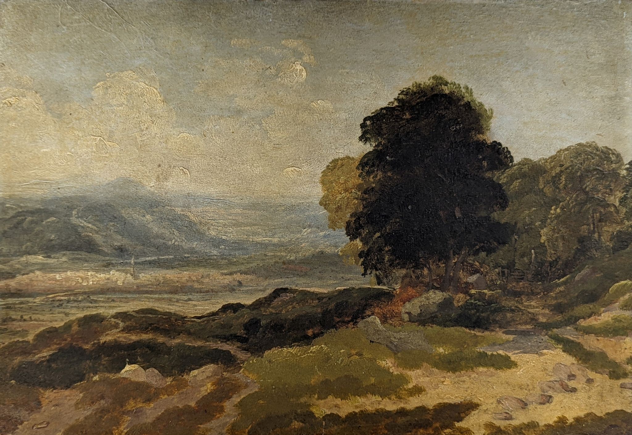 Copley Fielding (1787-1855), oil on paper laid onto glass, Trees in a landscape, inscribed and signed verso. 24.5 x 36cm, unframed